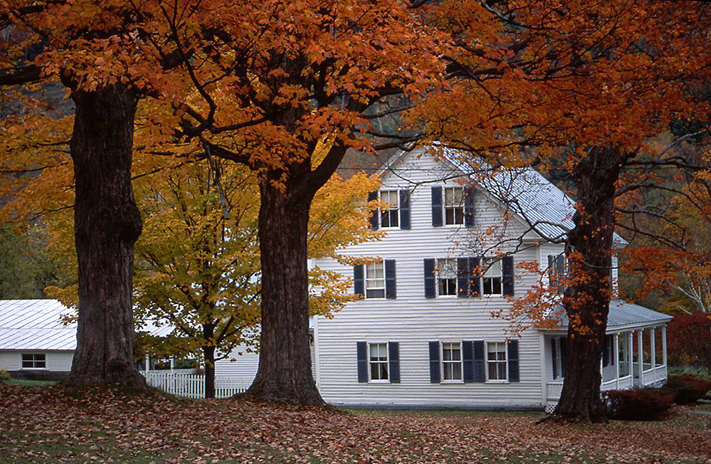 White House and Fall Foliage, Sharon 